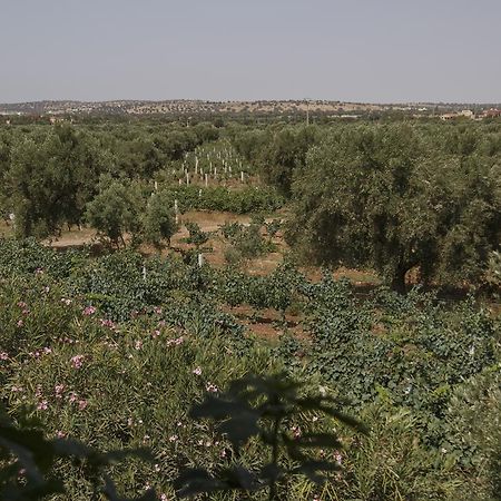 Ryad De Vignes " Le Val D'Argan " Ounara エクステリア 写真