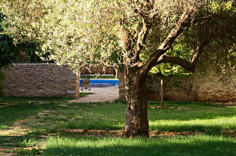 Ryad De Vignes " Le Val D'Argan " Ounara エクステリア 写真