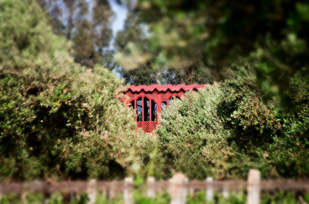 Ryad De Vignes " Le Val D'Argan " Ounara エクステリア 写真